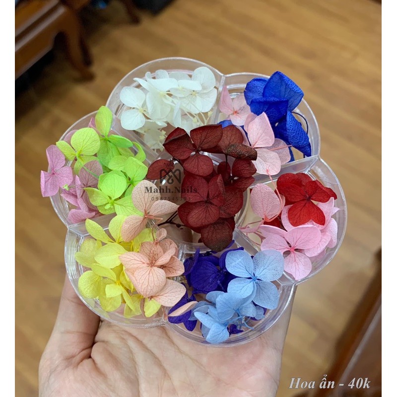 Hoa ẩn trang trí móng