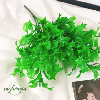 Cây giả - Cây đinh lăng xanh