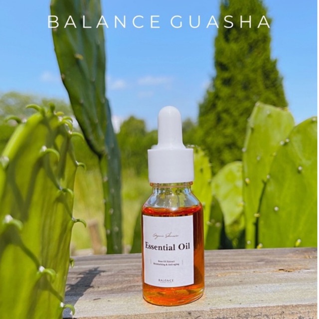 TINH DẦU DƯỠNG DA HỮU CƠ NỤ TẦM XUÂN ROSEHIP OIL - CẤP ẨM & SÁNG DA & TRẺ HÓA & PHỤC HỒI DA HƯ TỔN