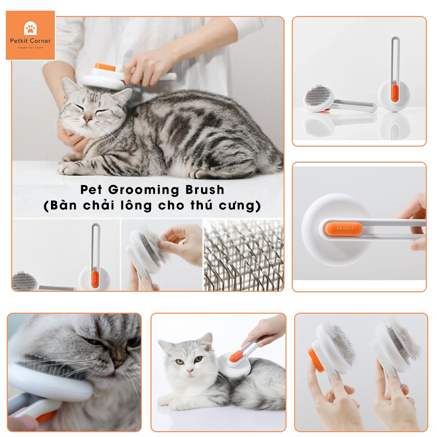 Bàn chải lông cho mèo