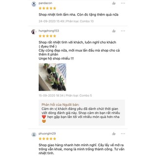 Sen đá bán lẻ ( được chọn loại )