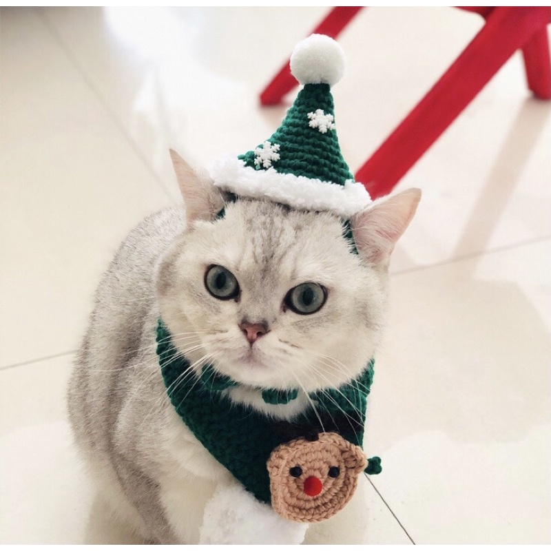 Set mũ yếm Giáng sinh cho Boss