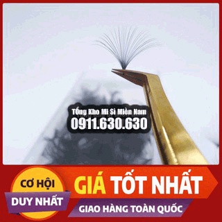 Mi Fan 30D Chất Lượng Giá Rẻ - Mi Volume -Tổng kho mi sỉ miền nam