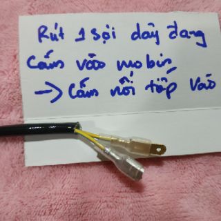 mạch chống chọt cầu chì xe winner, sonic