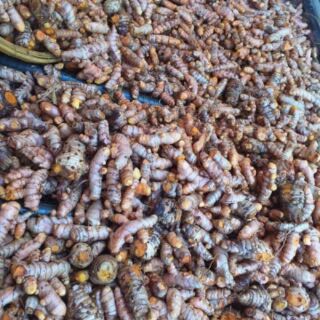 Tinh bột nghệ vàng 1kg