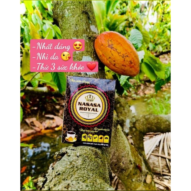 cafe cacao linh chi nassasa royal