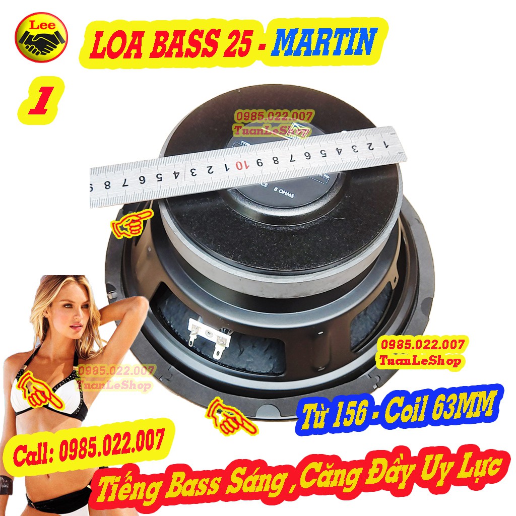 LOA BASS 2.5 TẤC MARTIN SẮT - GIÁ 1 CỦ LOA BASS 25