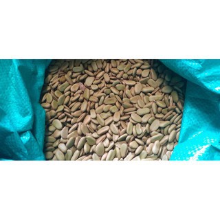 700gram hạt keo gai giống