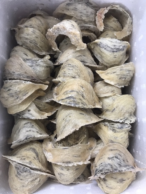 Yến thô già vàng 50gr, 100gr | BigBuy360 - bigbuy360.vn