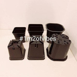 Set chậu nhựa đen vuông