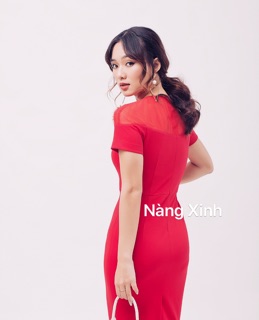 Đầm bút chì decoupe ngực, phối lưới