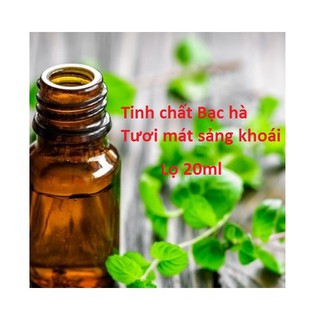 Tinh dầu Bạc hà cao cấp Lọ 20ml_tươi mát, sảng khoái