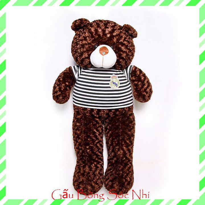 Gấu Bông Teddy Size 1m2 Cao Cấp  FREESHIP  Gấu Bông Sóc Nhí