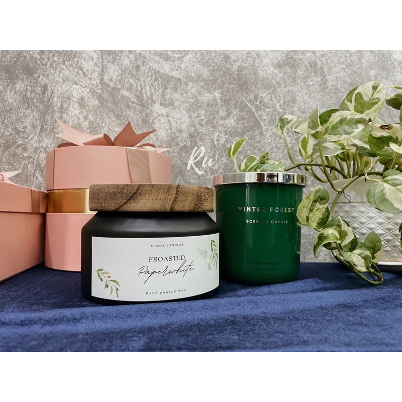 Lumos WINTER FOREST nến thơm tinh dầu hương rừng thông, bạch dương và xạ trắng, 8.8oz có túi giấy và hộp quà tặng