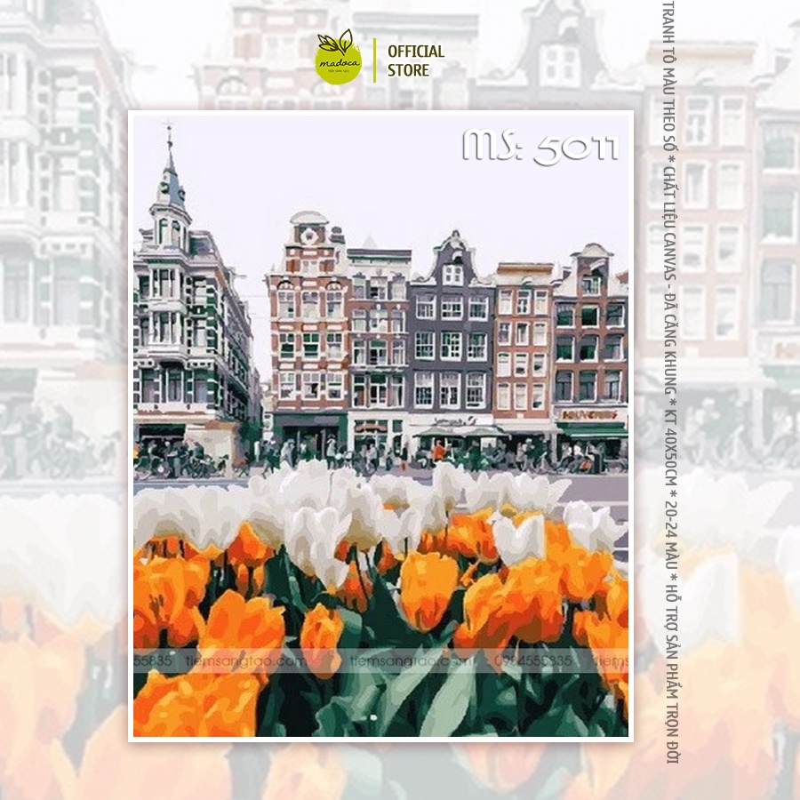 Tranh tô màu số hóa Madoca có khung 40x50cm hoa tulip cam T5011