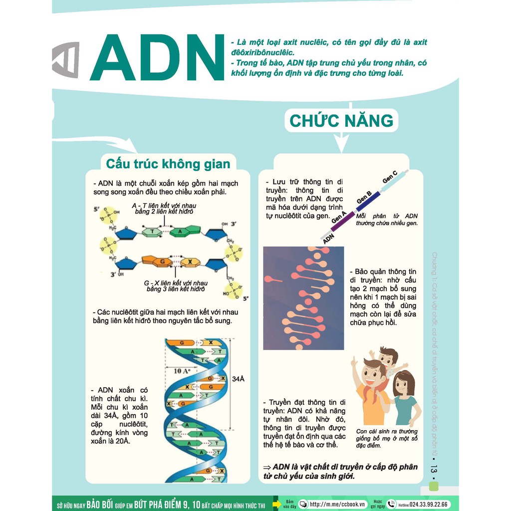 Sách - Đột phá 8+ môn Sinh học (tái bản 2020)