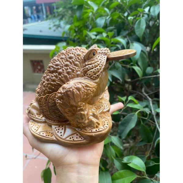 Tượng con cóc thiềm thừ ngậm vàng hút tài lộc gỗ bách