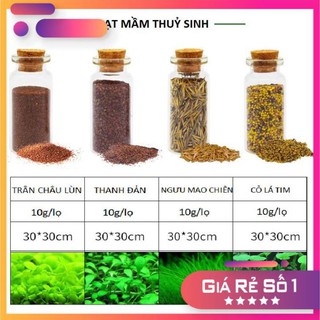 ☘ Hạt Mầm Thuỷ Sinh | Trân Châu Lùn | Ngưu Mao Chiên | Cỏ Lá Tim - Hạt giống thuỷ sinh [10gr]