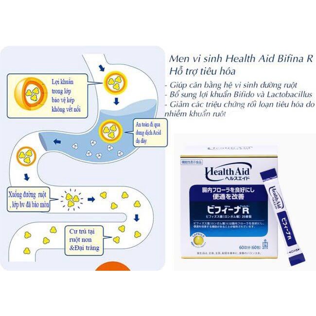 Men vi sinh sống BIFINA NHẬT BẢN, loại R hỗ trợ tiêu hóa cho trẻ em, người lớn, bà bầu, táo bón, tiêu chảy