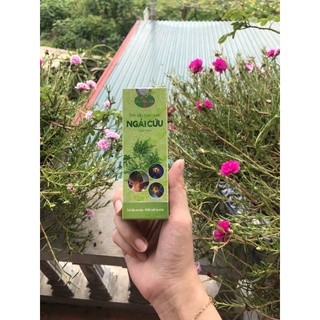 ✅ Tinh Dầu Ngải Cứu Dạ Thảo Liên [Chính Hãng] ✅ Chuyên xoa bóp đau nhức cơ xương khớp cổ lưng gối vai gáy tê bì chân tay