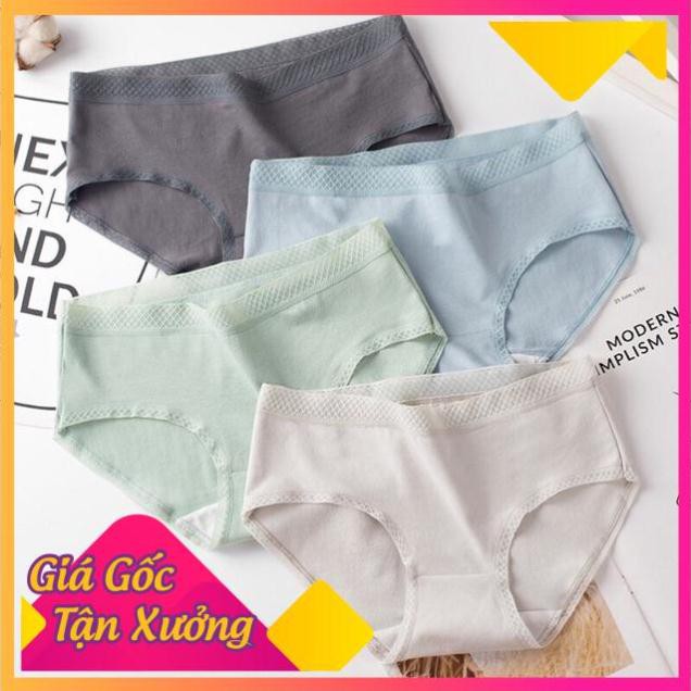 [SIÊU SALE] Quần Lót Cạp Lưới Cao Cấp
