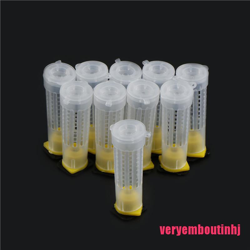 Set 10 lồng đựng ong chúa chuyên dụng chắc chắn