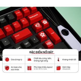 Bộ AKKO Keycap set – Psittacus (PBT DoubleShot/Cherry profile/157 nút)
