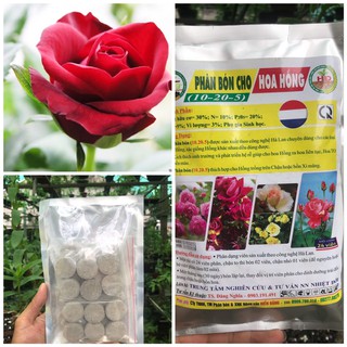 Phân bón dạng viên nén cho hoa hồng 10 – 20 – 5