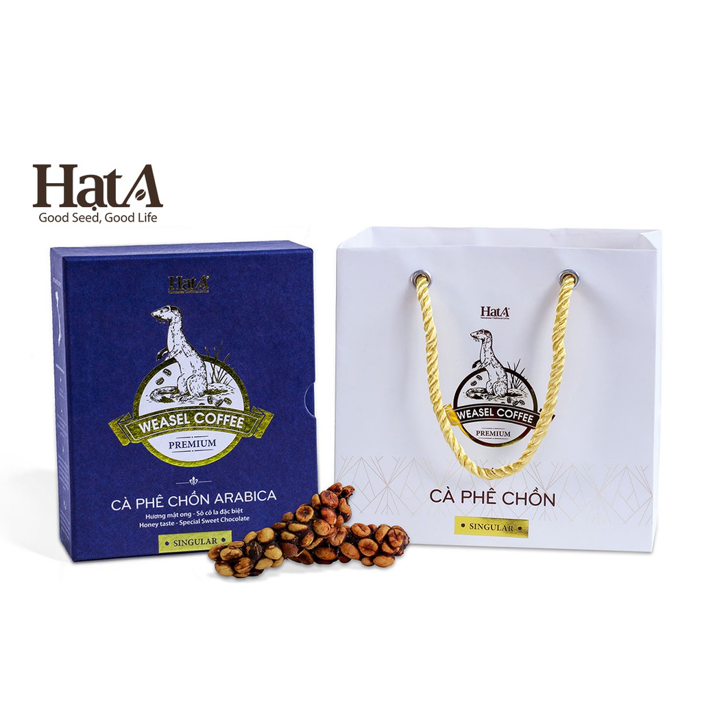 Cà phê chồn thượng hạng Hạt A Cafe Premium Weasel Coffee 100% hạt Arabica hương mật ong - socola đặc biệt 120gr