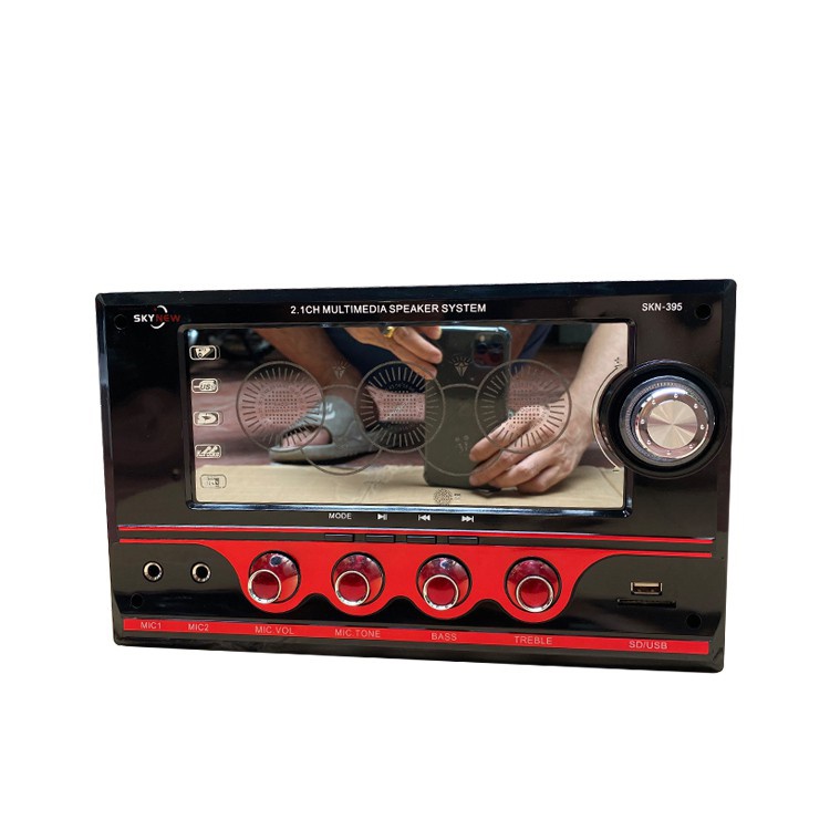 Dàn âm thanh tại nhà - Loa Vi Tính Cỡ Lớn Hát Karaoke Có Kết Nối Bluetooth USB SKYNEW - SKN395- Bảo Hành 1 Năm