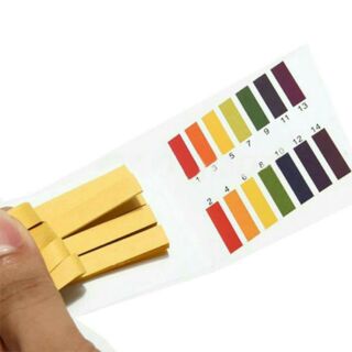 Giấy quỳ tím thử độ PH