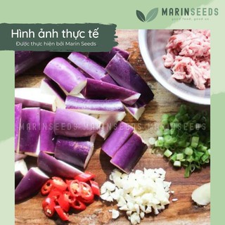 Hạt giống cà tím F1 (0.2gram)