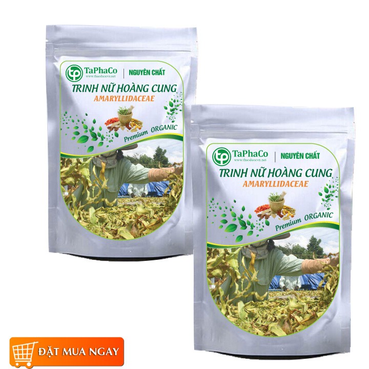 Cây trinh nữ hoàng cung 1kg - tấn Phát