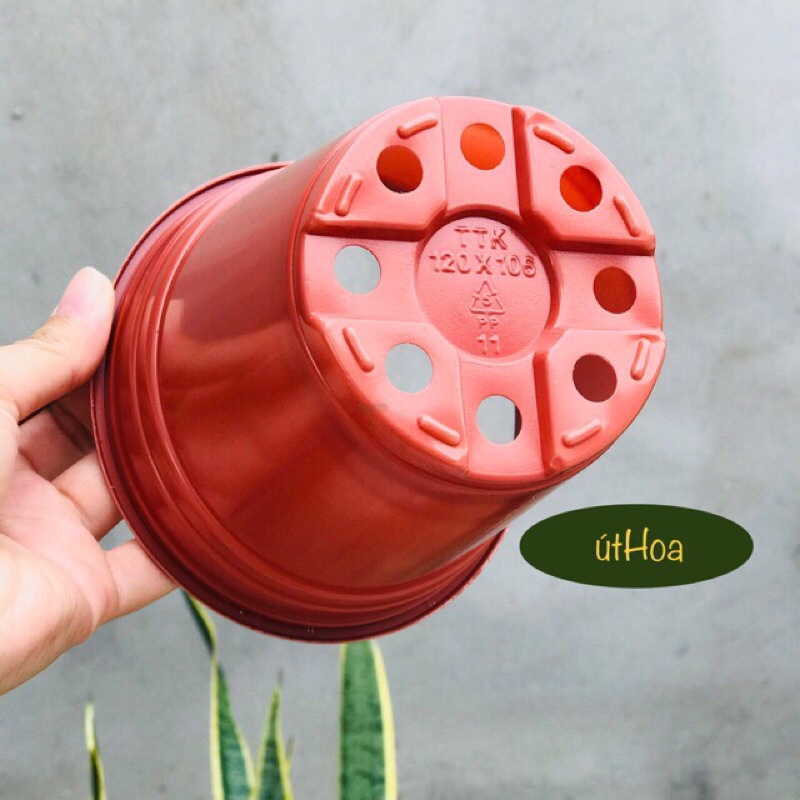 Chậu nhựa nâu N12 size nhỏ