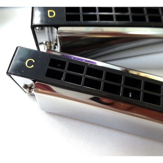 Kèn Harmonica Tremolo Swan Inconceivable SW24 12 Key C/C#/D/D#/E/F/F#/G/G#/A/A#/B (Đen)