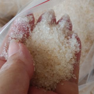 Mủ trôm 1kg