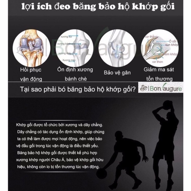 Băng gối Aolikes - Bó gối thể thao gym thể hình xe đạp leo núi