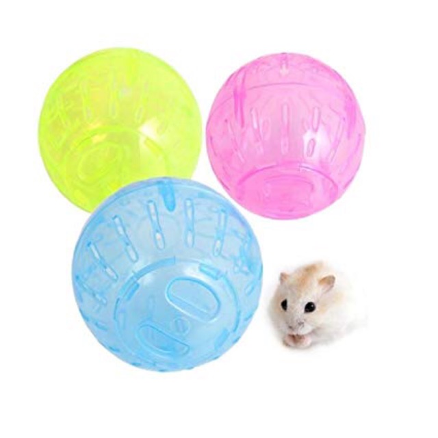 Bóng chạy Hamster size lớn