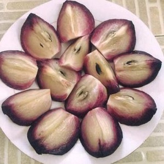 Cây giống vú sữa tím mica