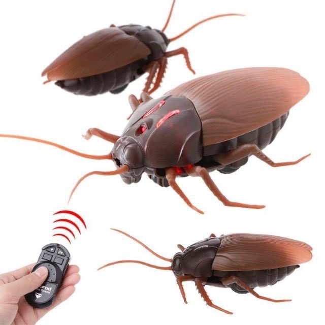 Đồ Chơi Gián Điều Khiển Từ Xa ZF - Siêu Bọ Máy - 9916