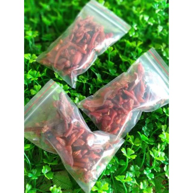 Mủ Gòn Thịt Ngon 100G