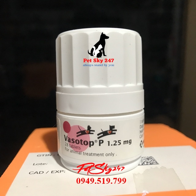 Thực Phẩm Chức Năng Vasotop P 1,25 Mg Hỗ Trợ Tim Trên Chó Mèo Hộp 28 Viên