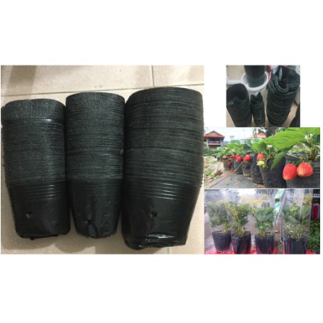 1kg TÚI BẦU ƯƠM CÂY GIỐNG (10 x 10 cm)