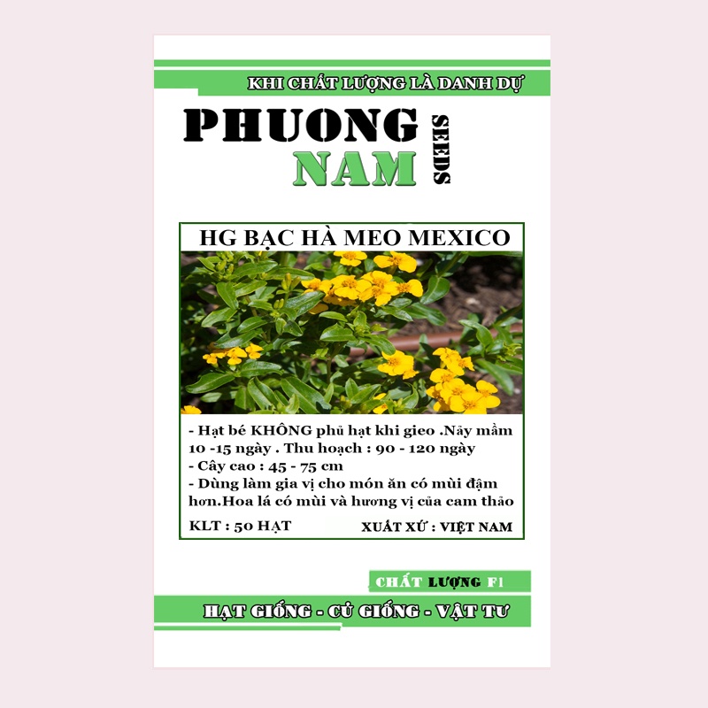 50H - HẠT GIỐNG BẠC HÀ MEXICO