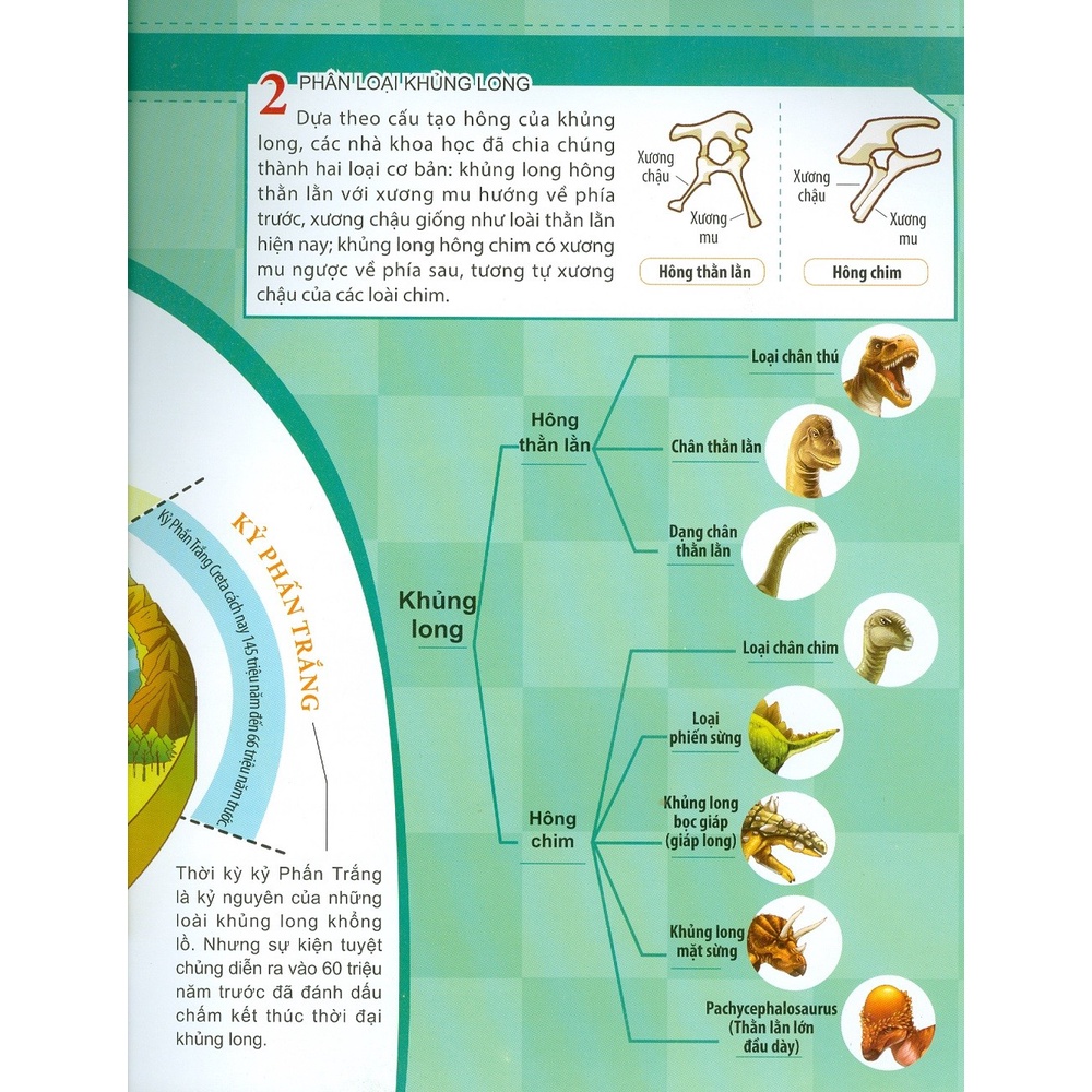 Sách Thiếu Nhi - Người Khủng Long Có Tồn Tại Thật Không ? Sự Tiến Hóa Và Phân Loại Khủng Long - MT