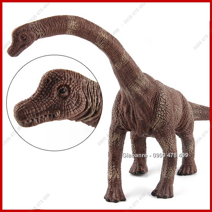 Mô Hình Khủng Long Cổ Dài Brachiosaurus  - Thân Dài 33cm - 7747