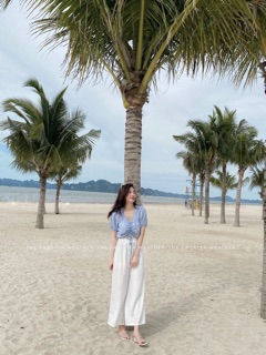 Quần culottes voan chất mát