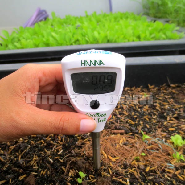 Máy Đo Độ Dẫn Điện Trong Đất Hanna Hi98331 (Máy Đo EC Đất)