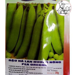 HẠT ĐẬU HÀ LAN - GÓI 20 GRAM