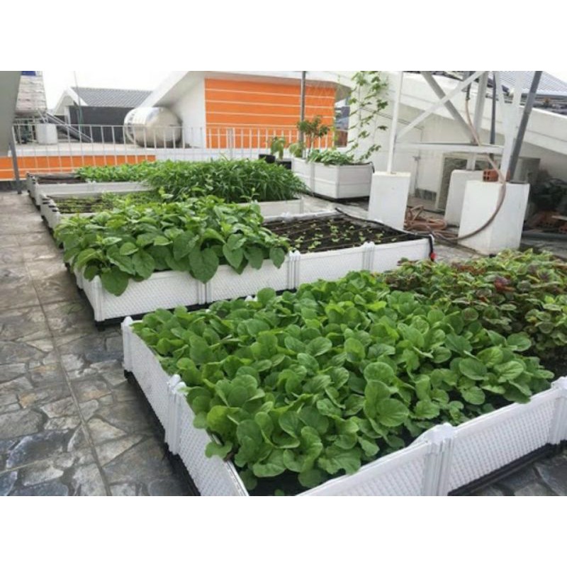 chậu lắp ghép trồng rau thông minh D80xR40xC75cm